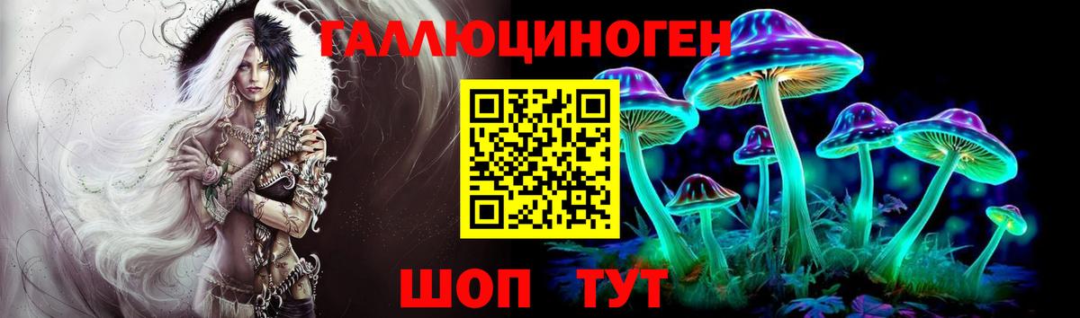 Галлюциногенные грибы Psilocybe Ковров